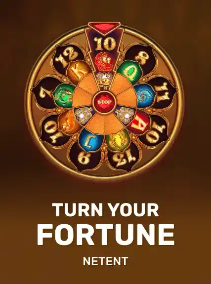 Turn Your Fortune